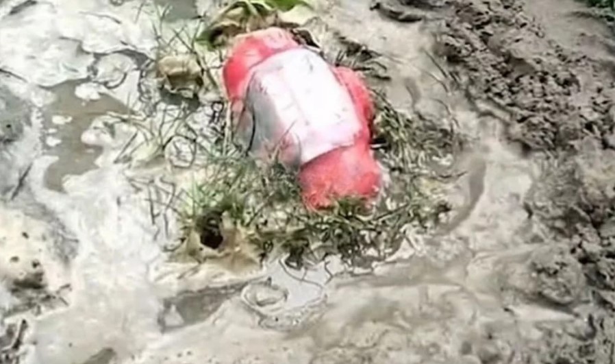 চুয়াডাঙ্গায় 'জয় বাংলা' লেখা বোমাসদৃশ বস্তু উদ্ধার